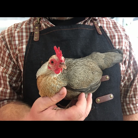 Meet your Posher, Kristen - Picture 2 of 8